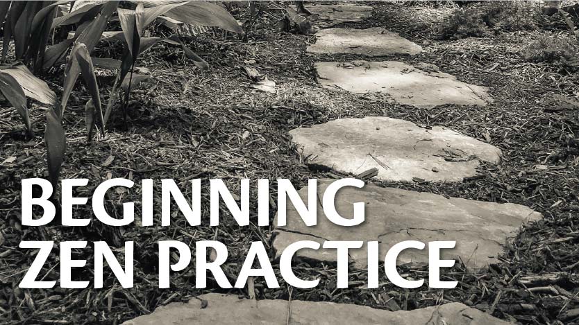 Beginning Zen Practice