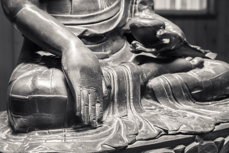 Image of Buddha tough the earth